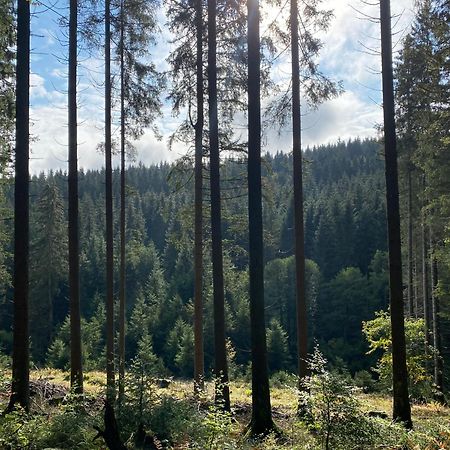 Der Schoene Asten - Resort Winterberg Zewnętrze zdjęcie