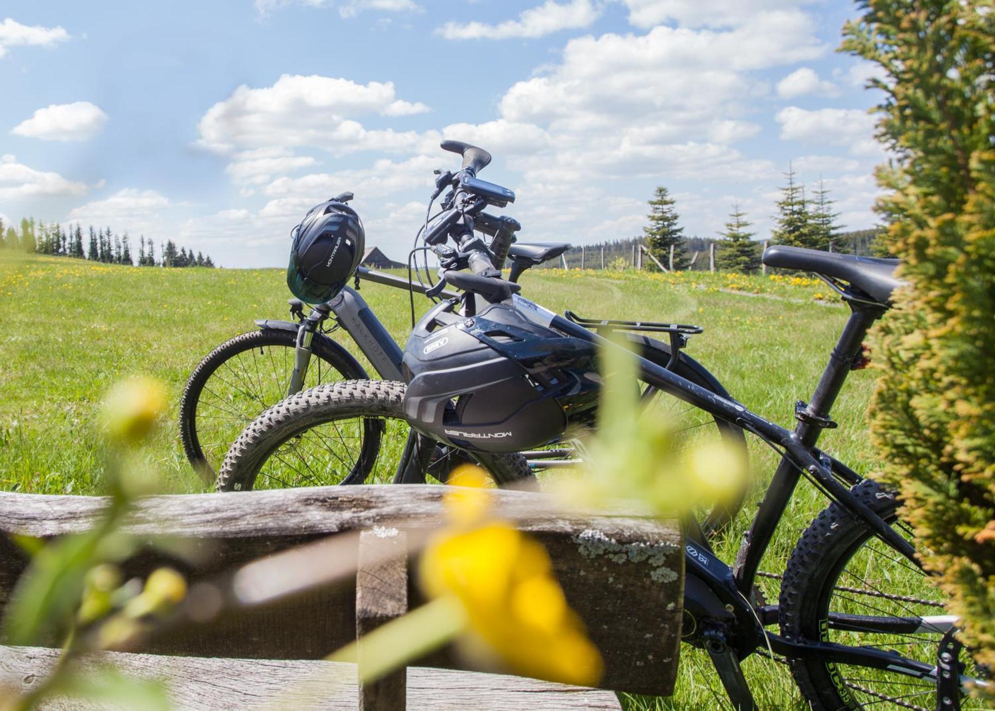 Der Schoene Asten - Resort Winterberg Zewnętrze zdjęcie