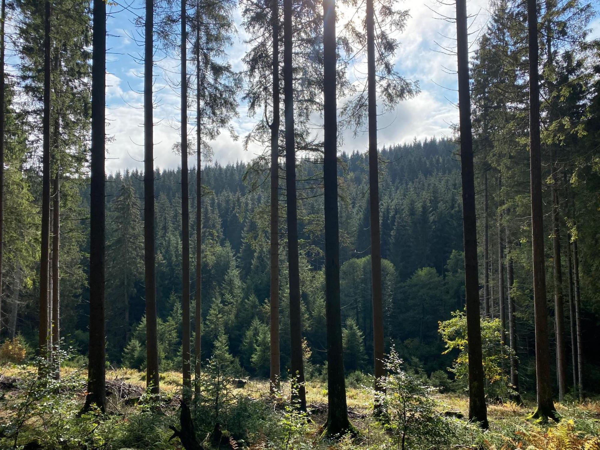 Der Schoene Asten - Resort Winterberg Zewnętrze zdjęcie