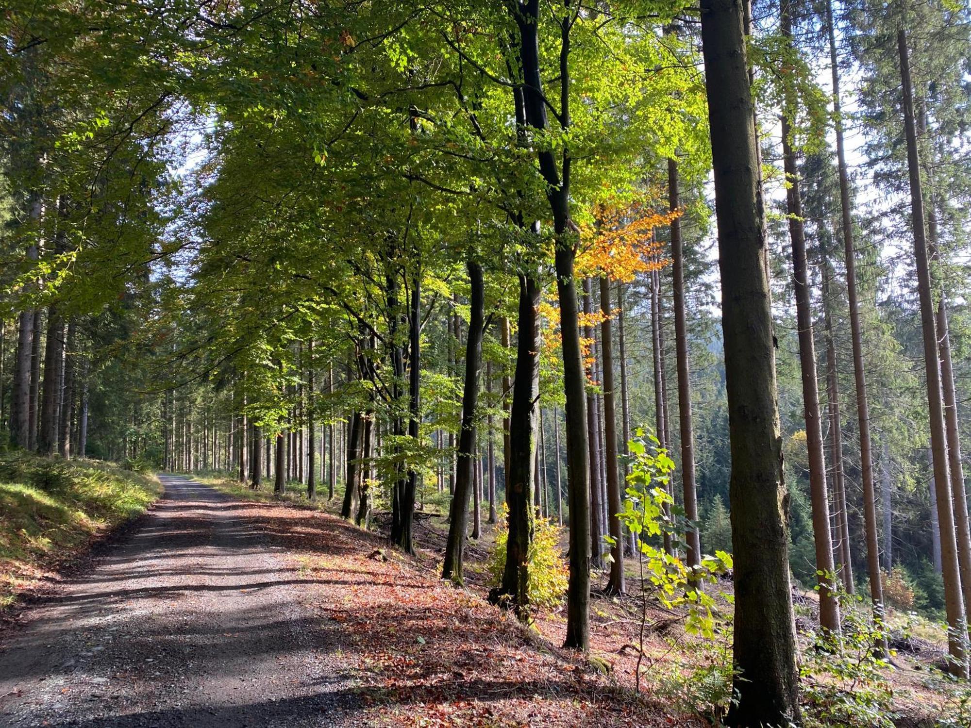 Der Schoene Asten - Resort Winterberg Zewnętrze zdjęcie